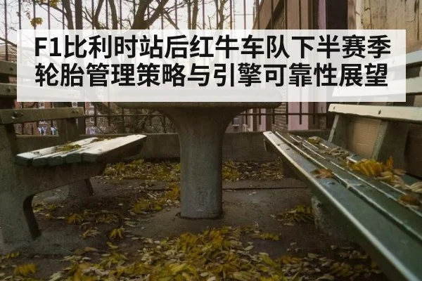 F1比利时站后红牛车队下半赛季轮胎管理策略与引擎可靠性展望