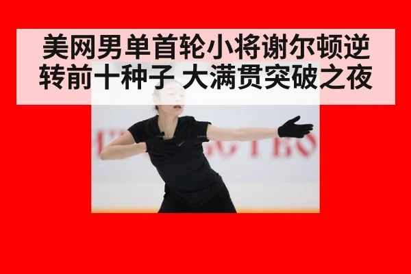 美网男单首轮小将谢尔顿逆转前十种子 大满贯突破之夜